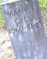 Mary E. Gill