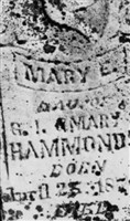 Mary E Hammonds