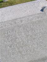 Mary E Harvey