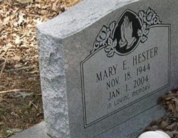 Mary E Hester Mary E Hester