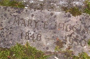 Mary E Higgins