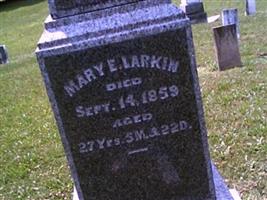 Mary E Larkin