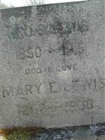 Mary E. Lewis