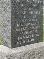 Mary E McLaughlin