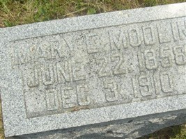 Mary E. Modlin