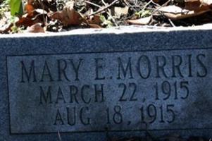 Mary E. Morris