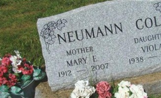 Mary E Neumann