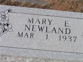 Mary E Newland