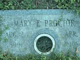 Mary E Proctor