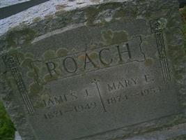 Mary E. Roach