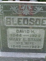 Mary E Stark Bledsoe