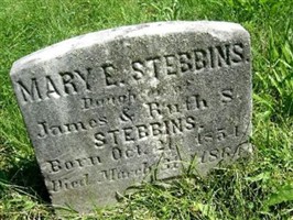 Mary E Stebbins