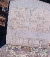 Mary E Steger Mary E Steger