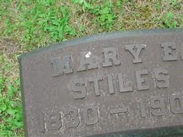 Mary E Stiles