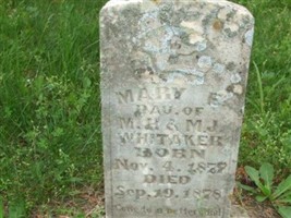 Mary E. Whitaker