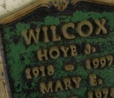 Mary E Wilcox