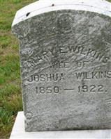 Mary E. Wilkins