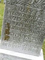 Mary E. Wilson