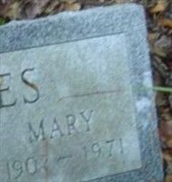 Mary Edge Hines