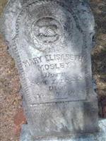 Mary Elisabeth Mosley