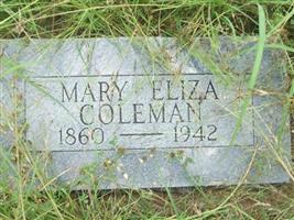 Mary Eliza Coleman
