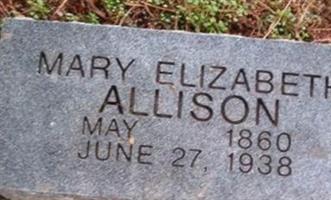 Mary Elizabeth Allison