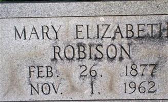 Mary Elizabeth Arnold Robison