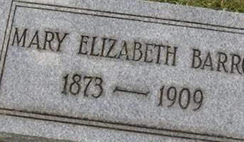 Mary Elizabeth Barron