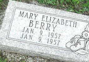 Mary Elizabeth Berry