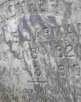 Mrs Mary Ann Elizabeth Bilbro Jarman Mrs Mary Ann Elizabeth Bilbro Jarman