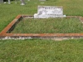 Mary Elizabeth Bolling Martin