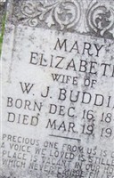 Mary Elizabeth Buddin