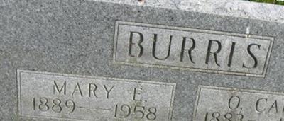 Mary Elizabeth Burris