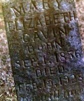 Mary Elizabeth Cavin