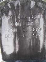 Mary Elizabeth Collier