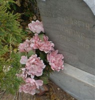 Mary Elizabeth Cox Whiting Mary Elizabeth Cox Whiting