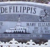 Mary Elizabeth DeFilippis