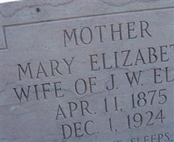 Mary Elizabeth Ellis