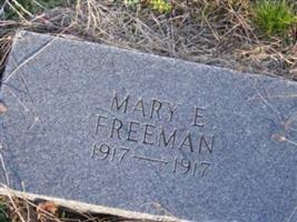 Mary Elizabeth Freeman