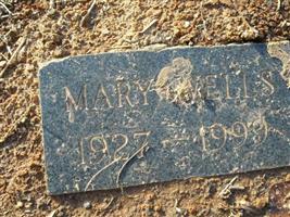 Mary Elizabeth Fugate Wells