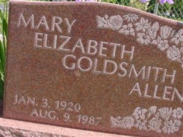 Mary Elizabeth Goldsmith Allen