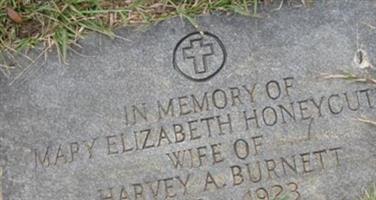 Mary Elizabeth Honeycutt Burnett