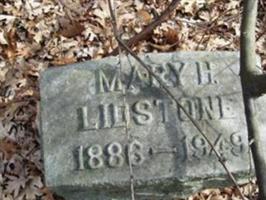 Mary Elizabeth Hornbaker Lidstone