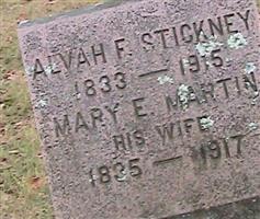 Mary Elizabeth Martin Stickney