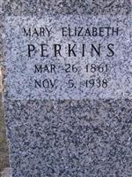 Mary Elizabeth Perkins