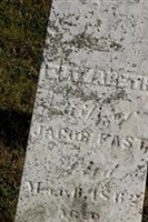 Mary Elizabeth Plice Fast