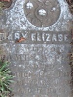 Mary Elizabeth Pulis