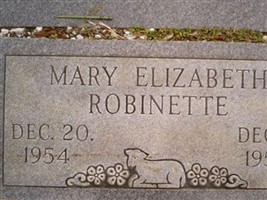 Mary Elizabeth Robinette