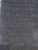 Mary Elizabeth Shaw