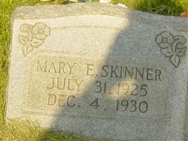 Mary Elizabeth Skinner